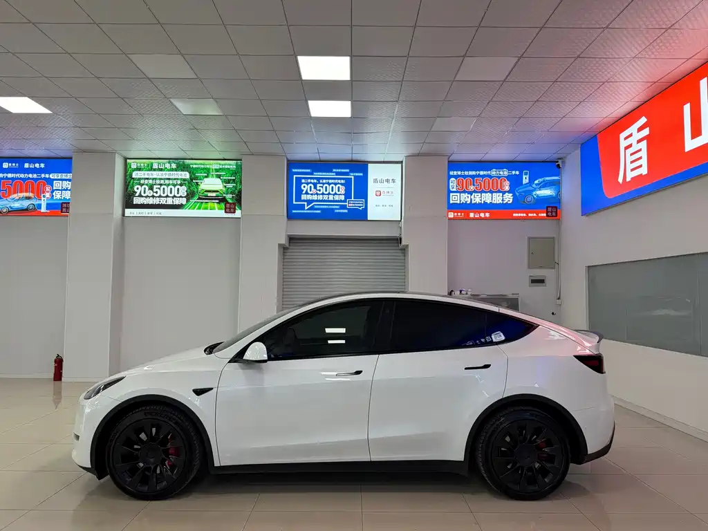 Tesla Model Y — фото 3