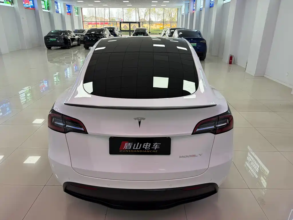 Tesla Model Y — фото 5