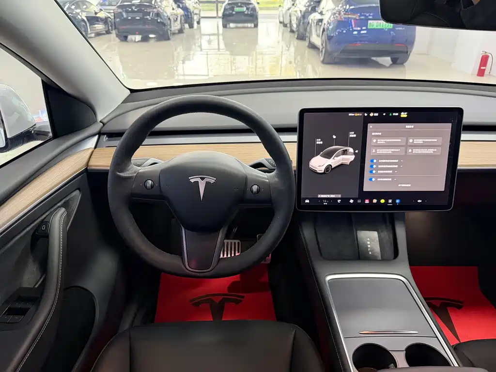 Tesla Model Y — фото 6