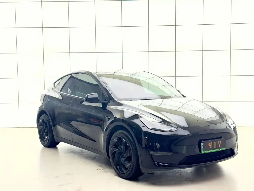 Tesla Model Y — фото 14