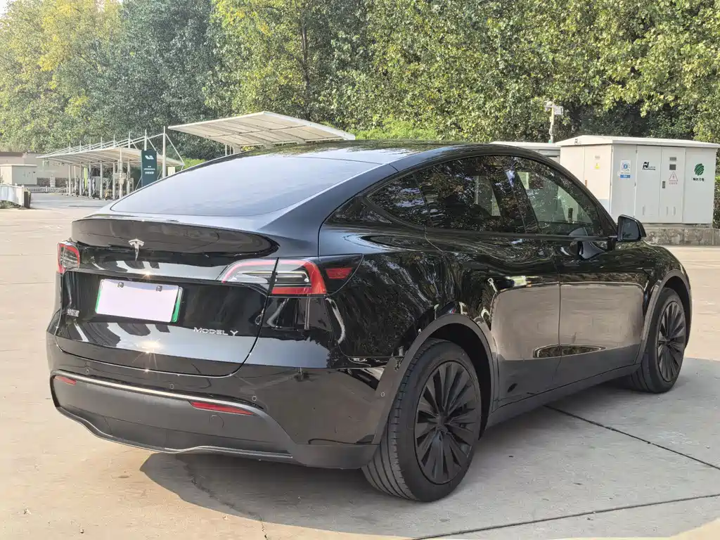 Tesla Model Y — фото 15