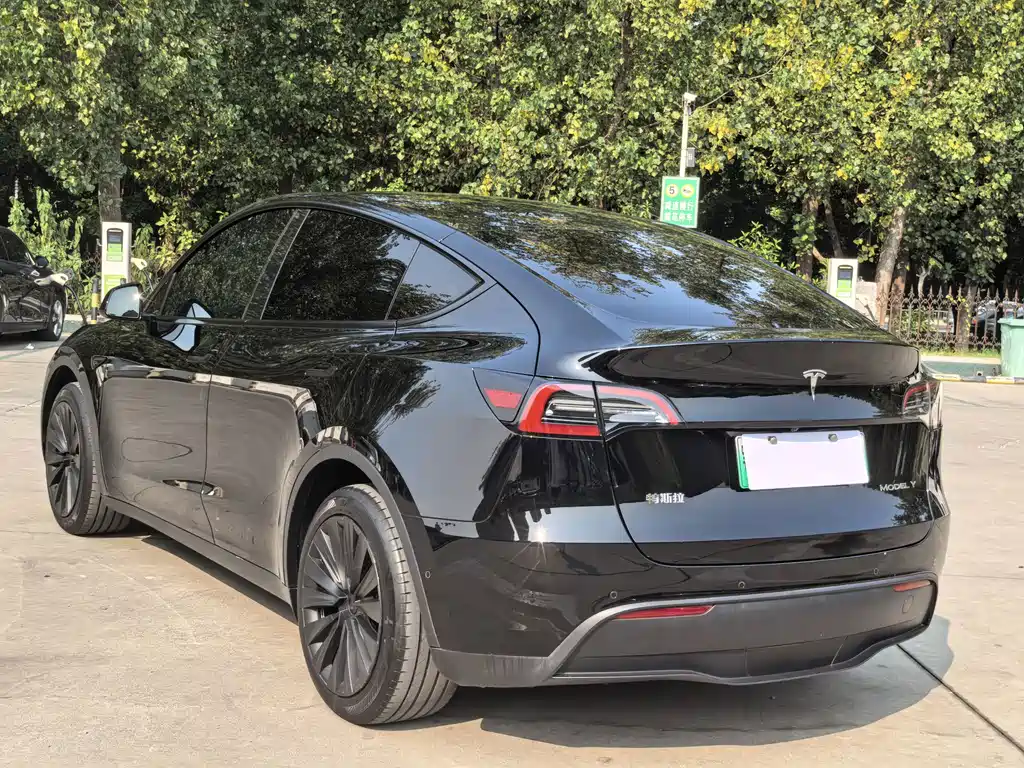 Tesla Model Y — фото 17