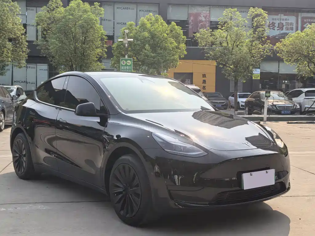 Tesla Model Y — фото 3
