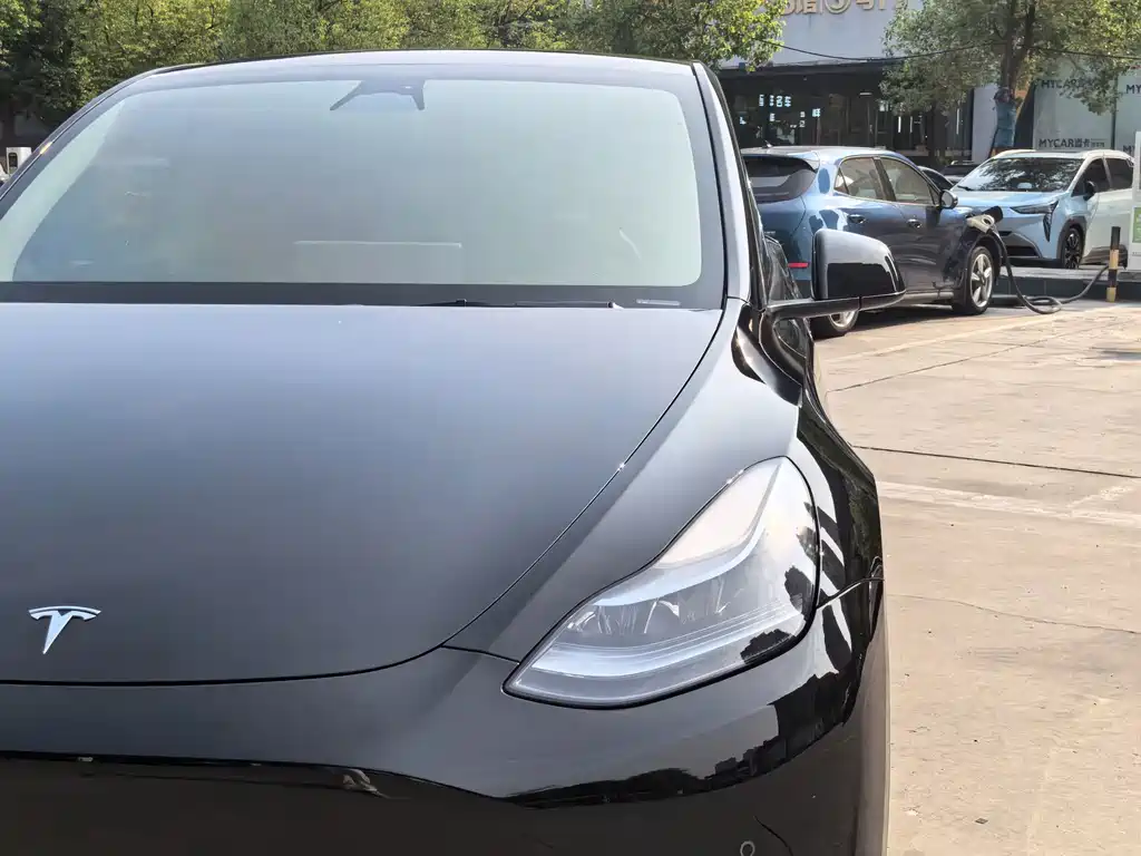 Tesla Model Y — фото 4