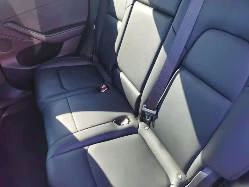 Tesla Model Y — фото 19