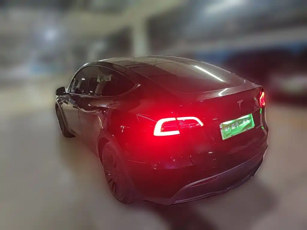 Tesla Model Y — фото 5