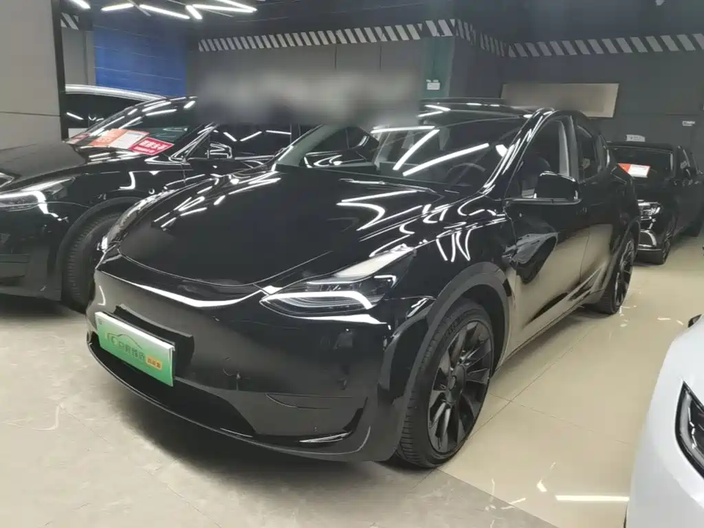 Tesla Model Y — фото 2