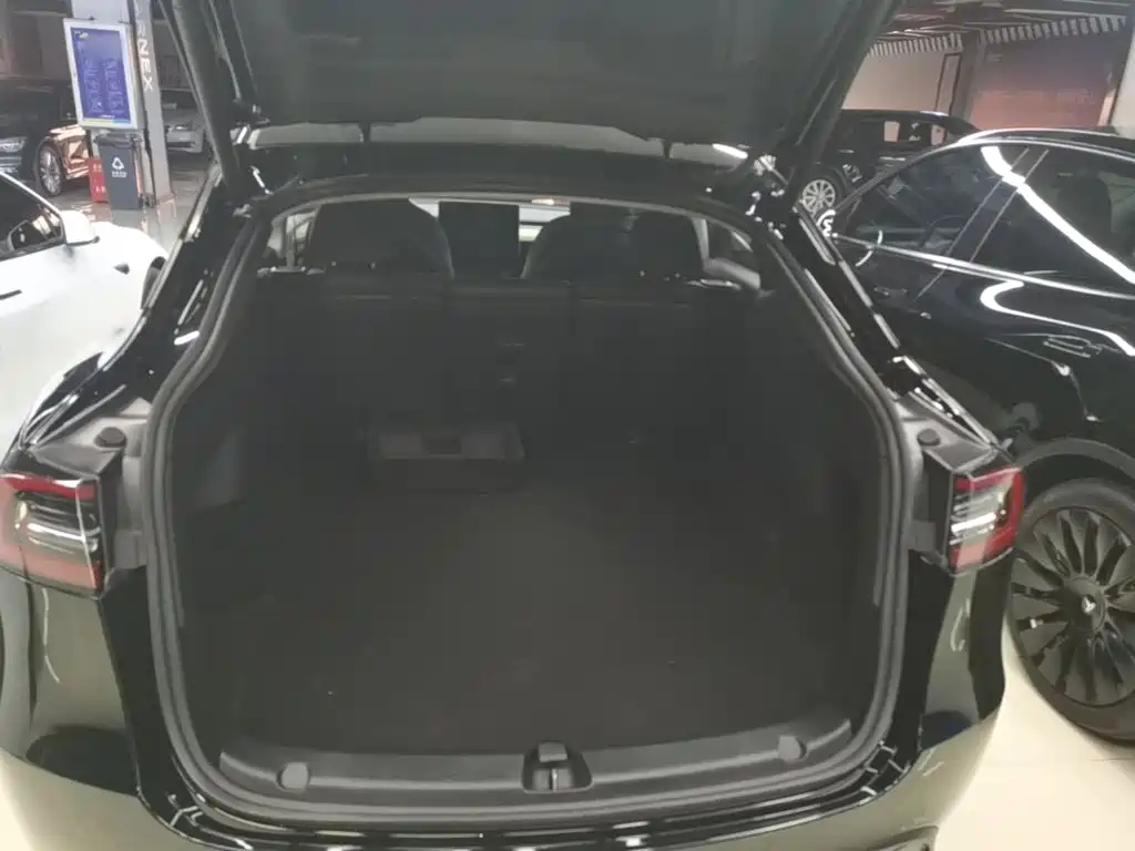 Tesla Model Y — фото 19