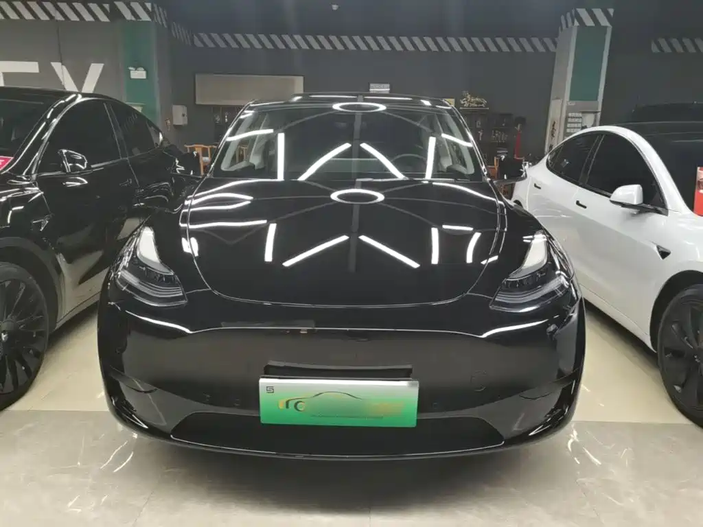 Tesla Model Y — фото 3