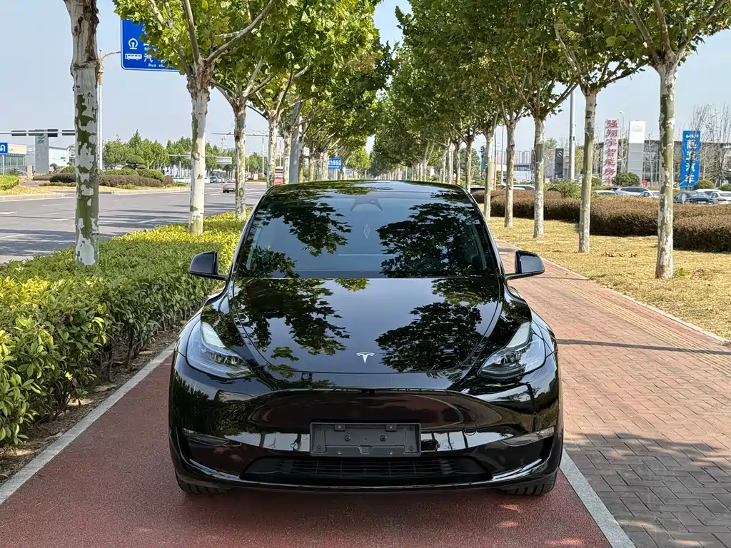 Tesla Model Y — фото 2