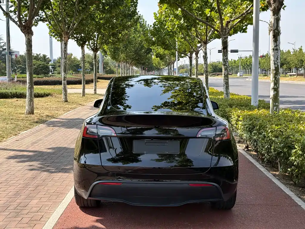 Tesla Model Y — фото 4