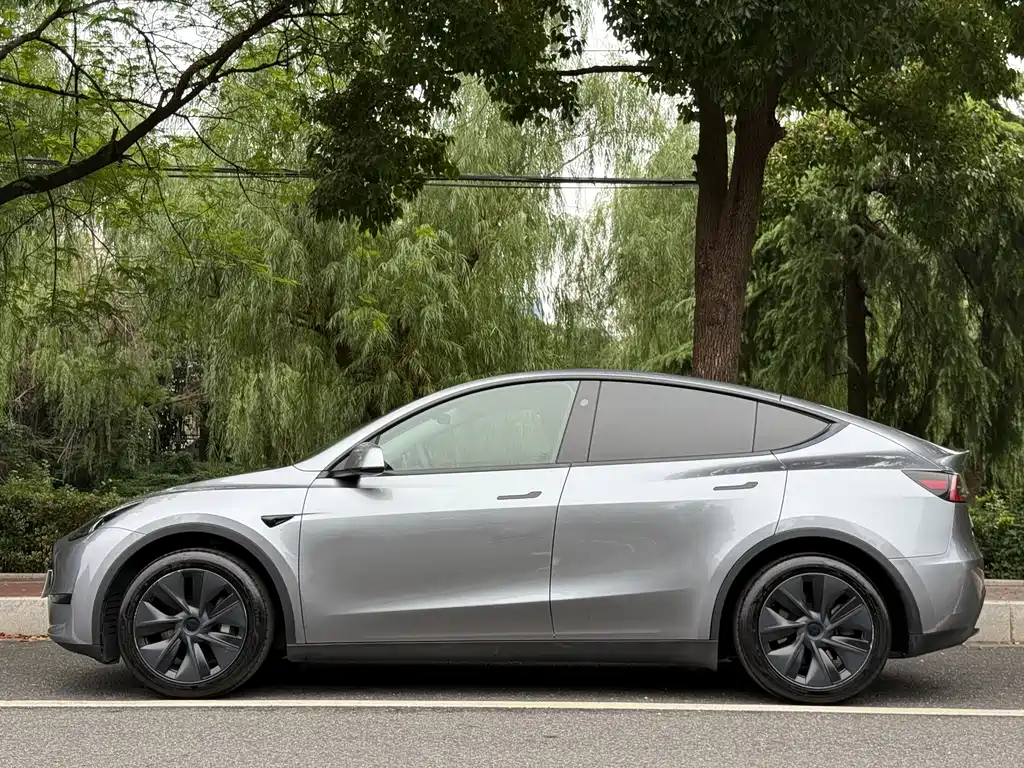 Tesla Model Y — фото 2