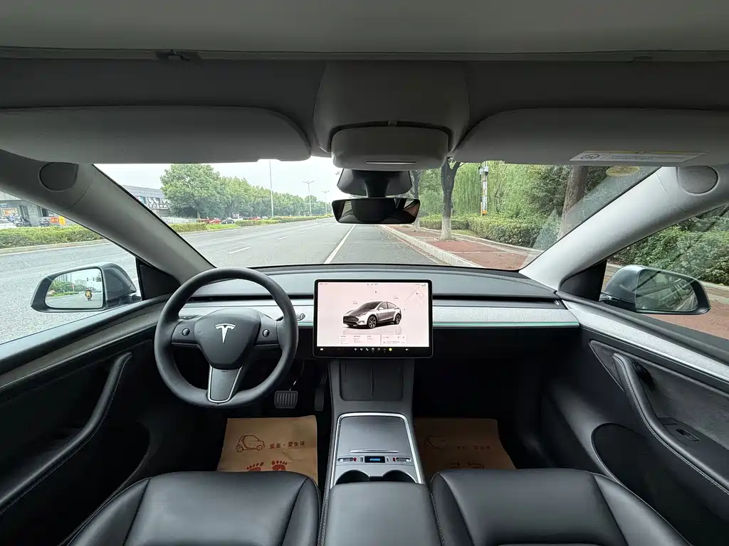 Tesla Model Y — фото 14