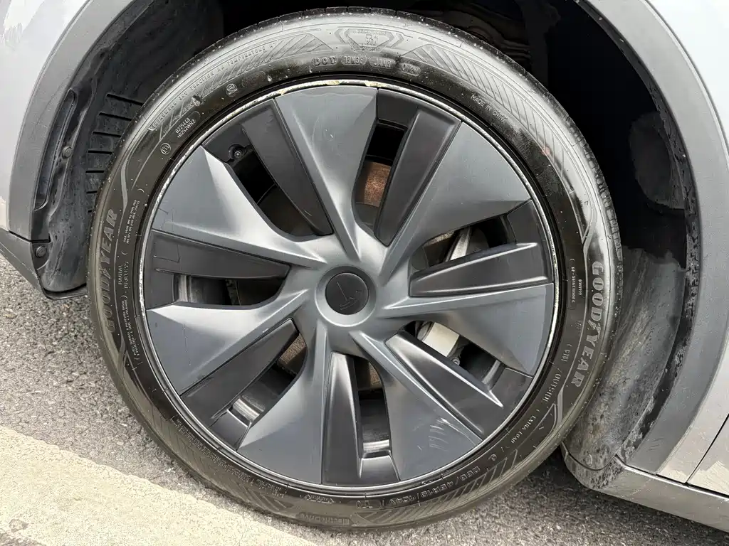 Tesla Model Y — фото 17