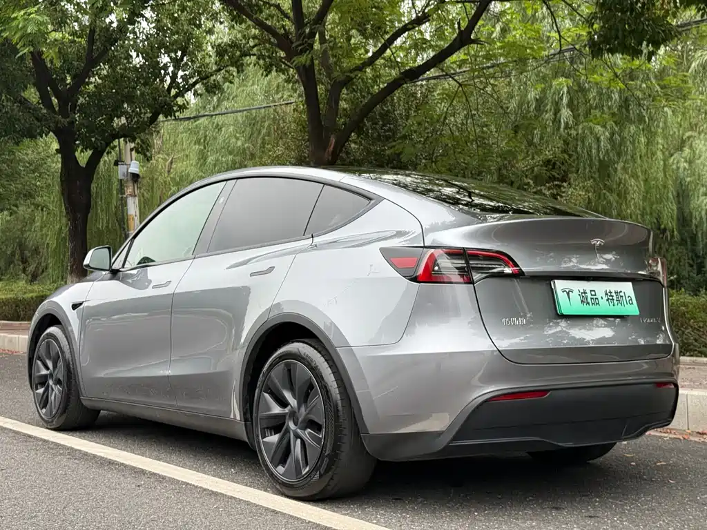 Tesla Model Y — фото 3