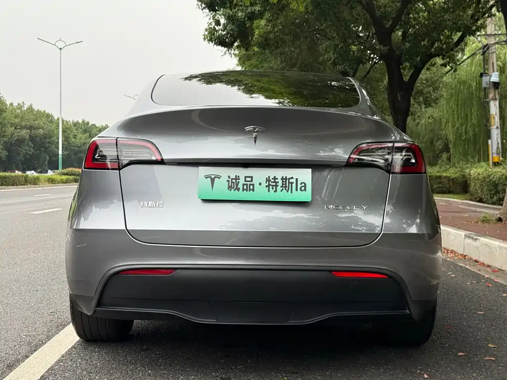 Tesla Model Y — фото 4
