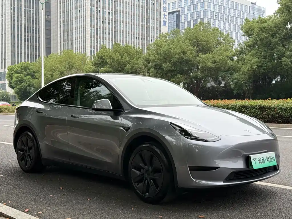 Tesla Model Y — фото 6