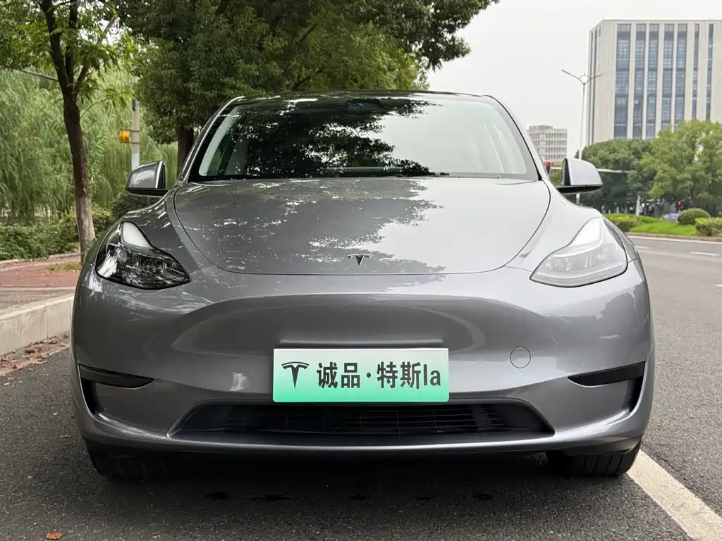 Tesla Model Y — фото 7