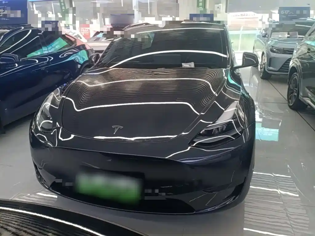 Tesla Model Y — фото 3