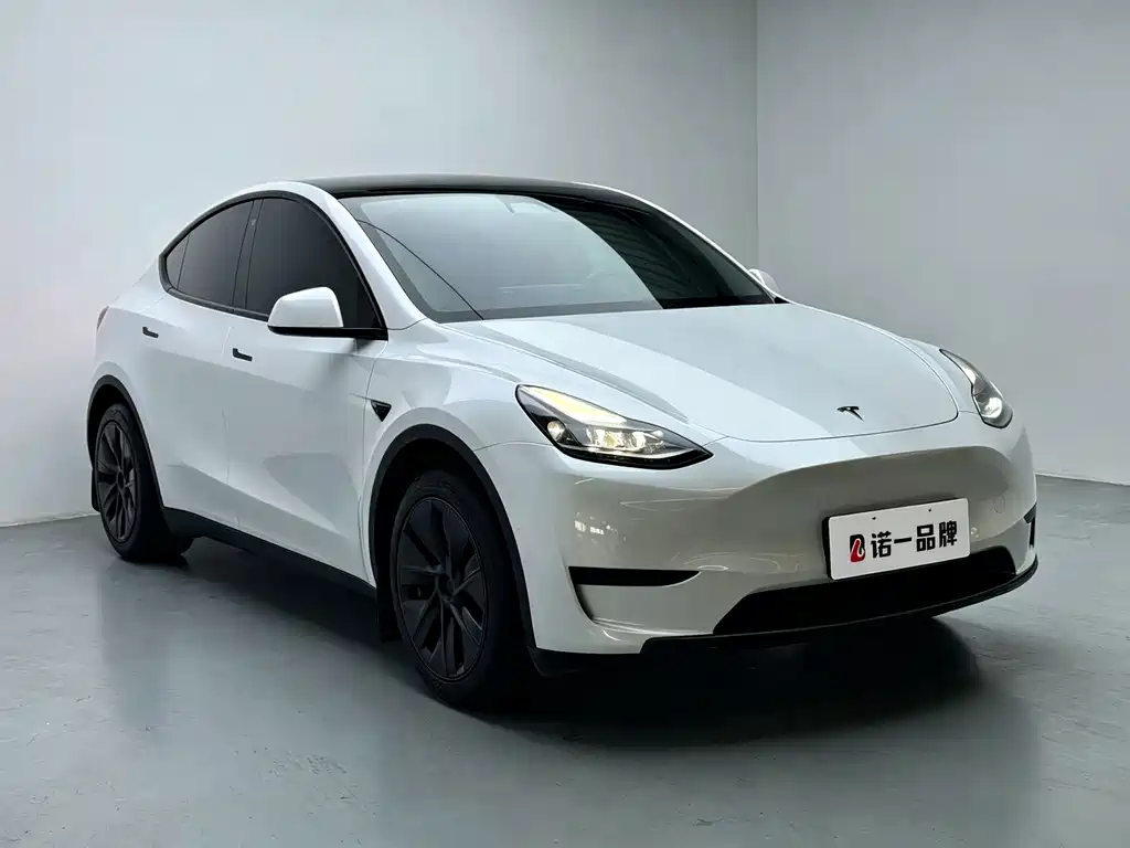Tesla Model Y — фото 2