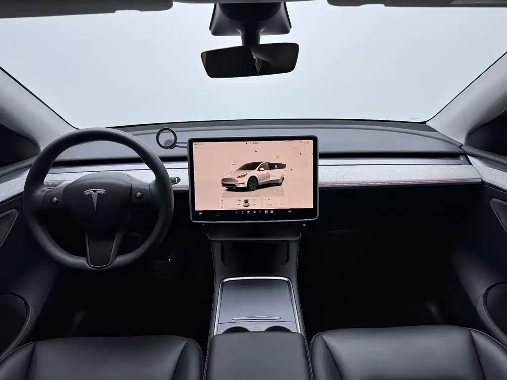 Tesla Model Y — фото 7