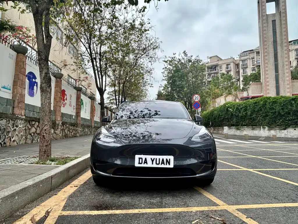 Tesla Model Y — фото 2
