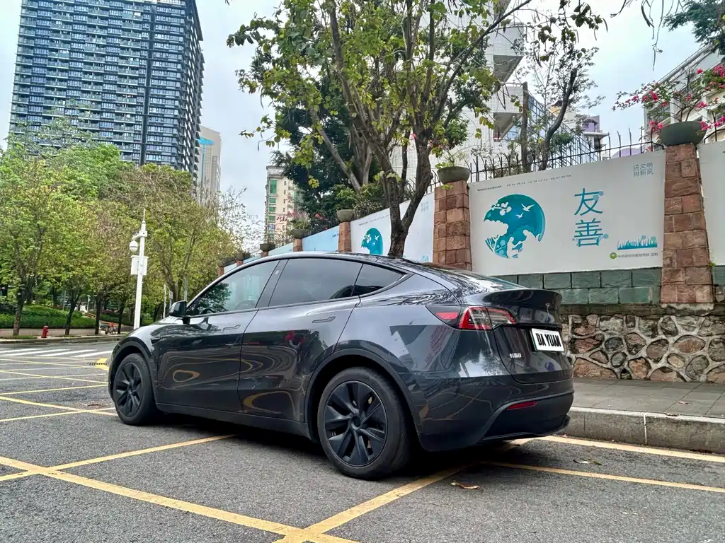 Tesla Model Y — фото 13