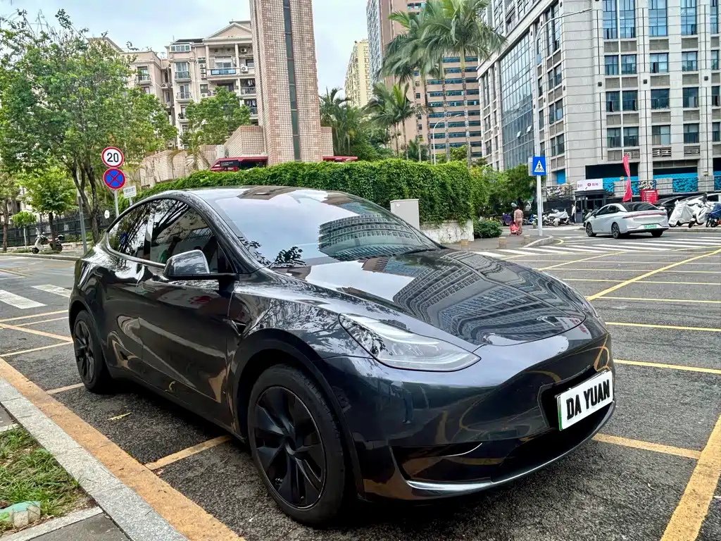 Tesla Model Y — фото 3
