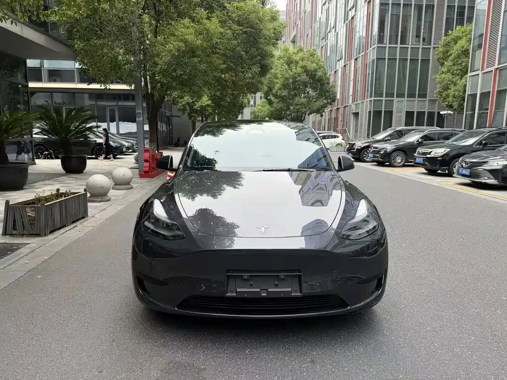 Tesla Model Y — фото 2