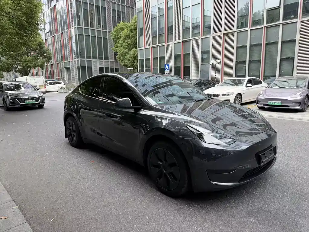 Tesla Model Y — фото 3