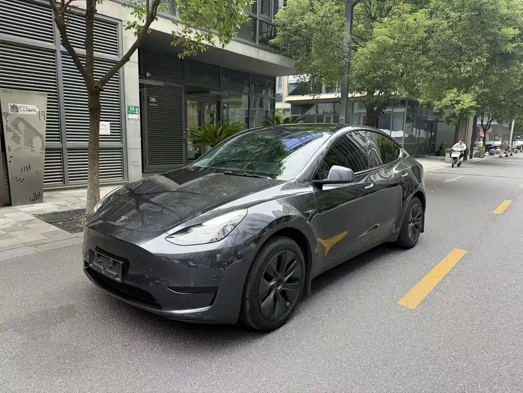 Tesla Model Y — фото 1