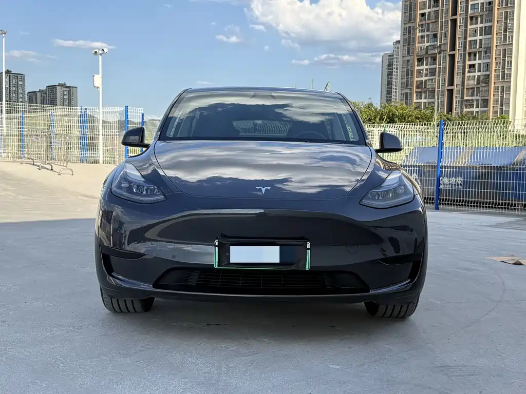 Tesla Model Y — фото 2