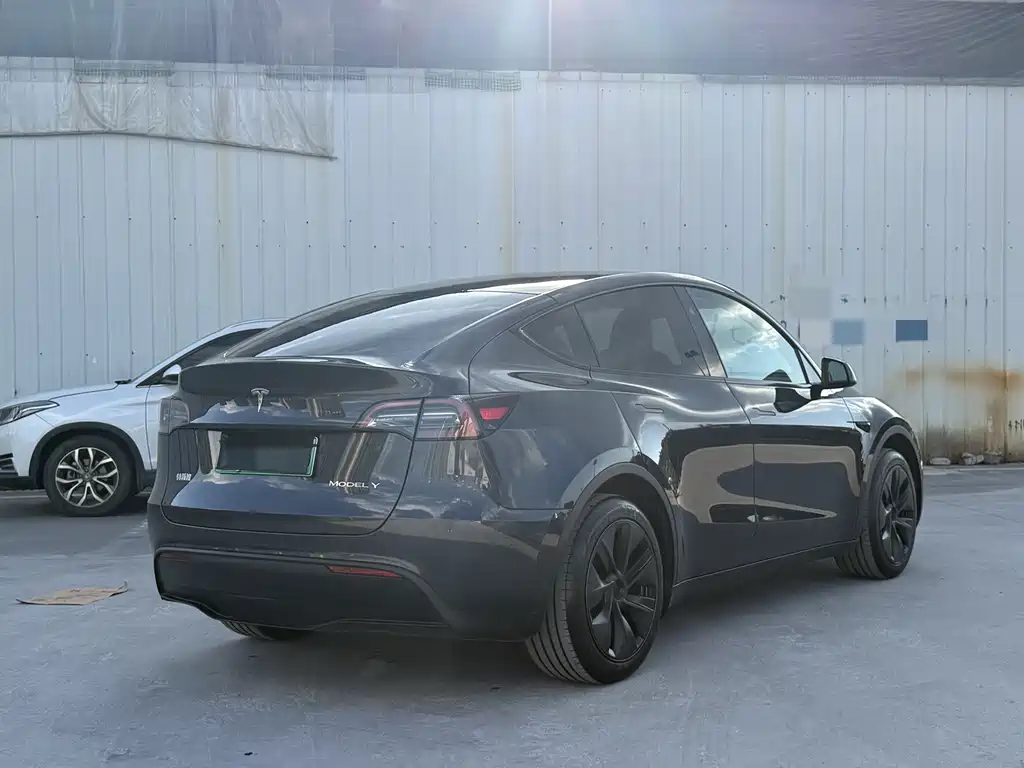 Tesla Model Y — фото 11