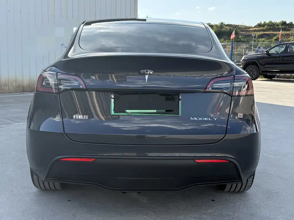 Tesla Model Y — фото 13