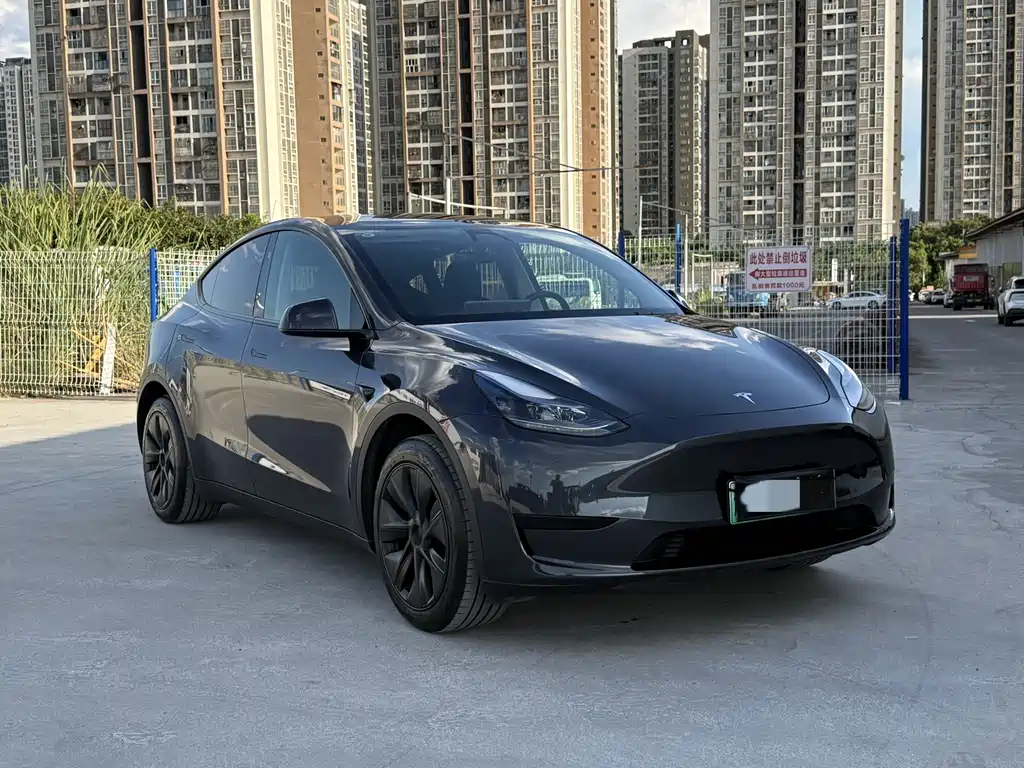 Tesla Model Y — фото 3