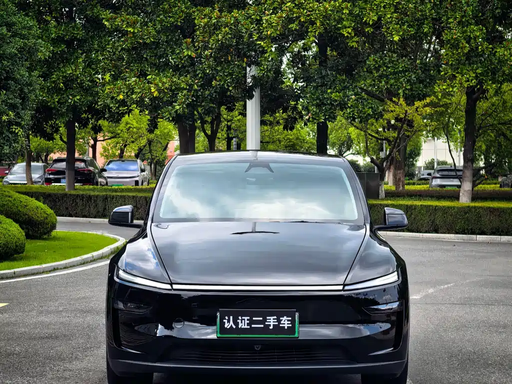 Tesla Model Y — фото 2
