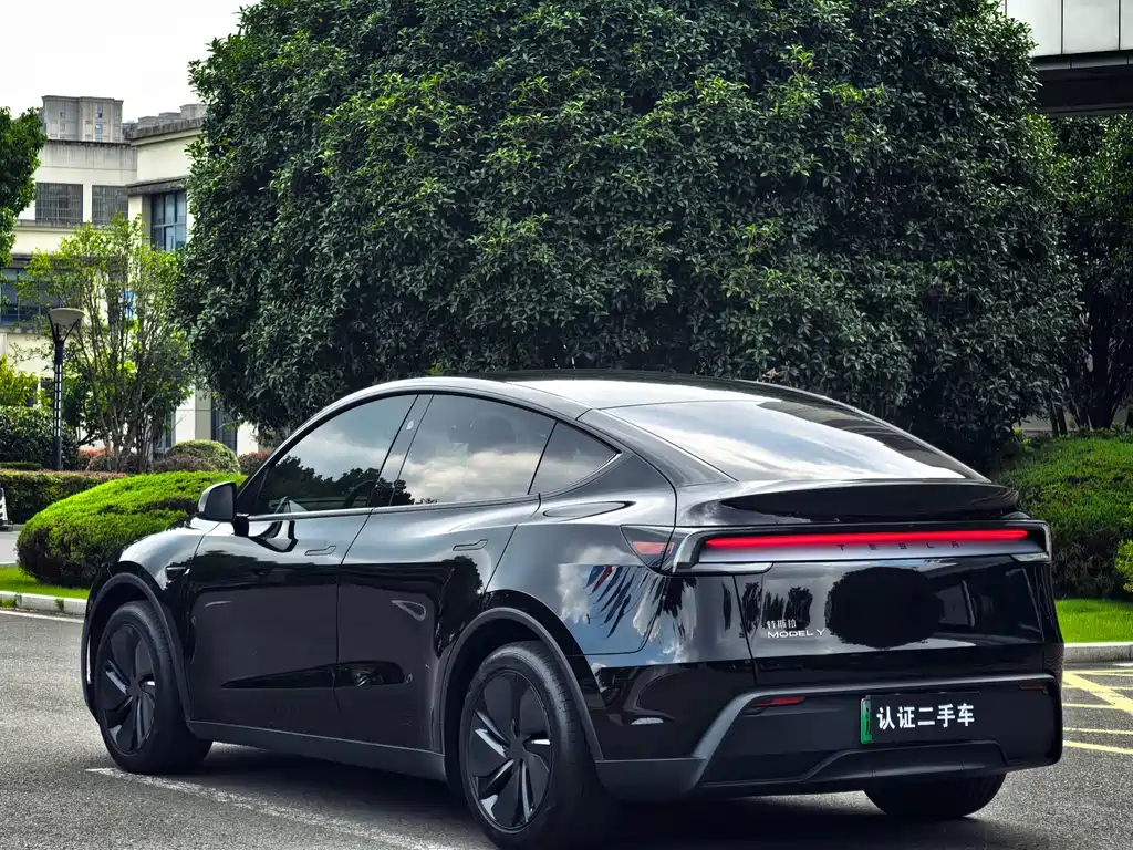 Tesla Model Y — фото 9