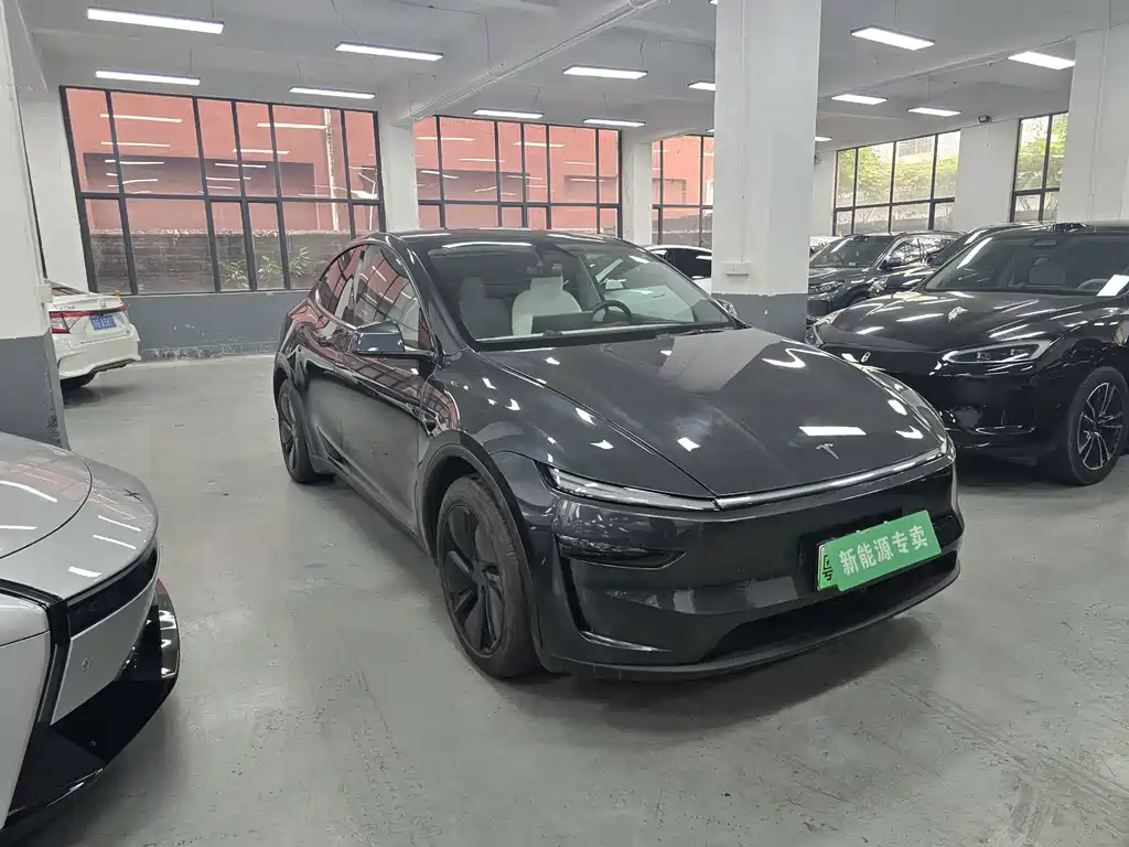 Tesla Model Y — фото 3