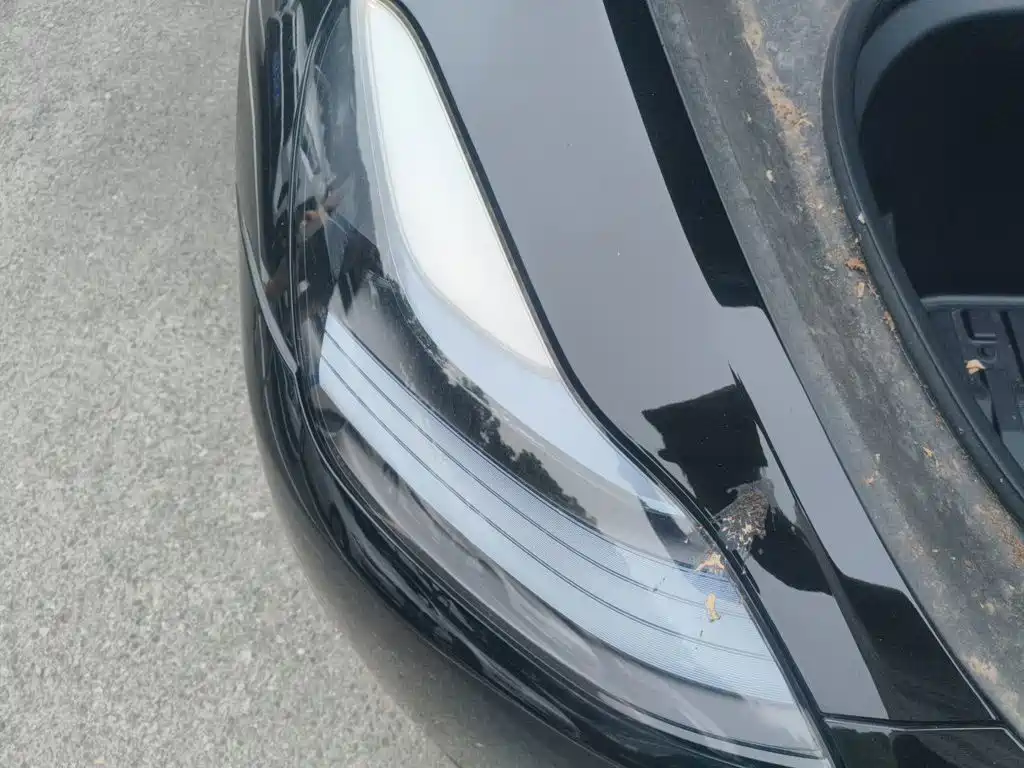 Tesla Model Y — фото 20
