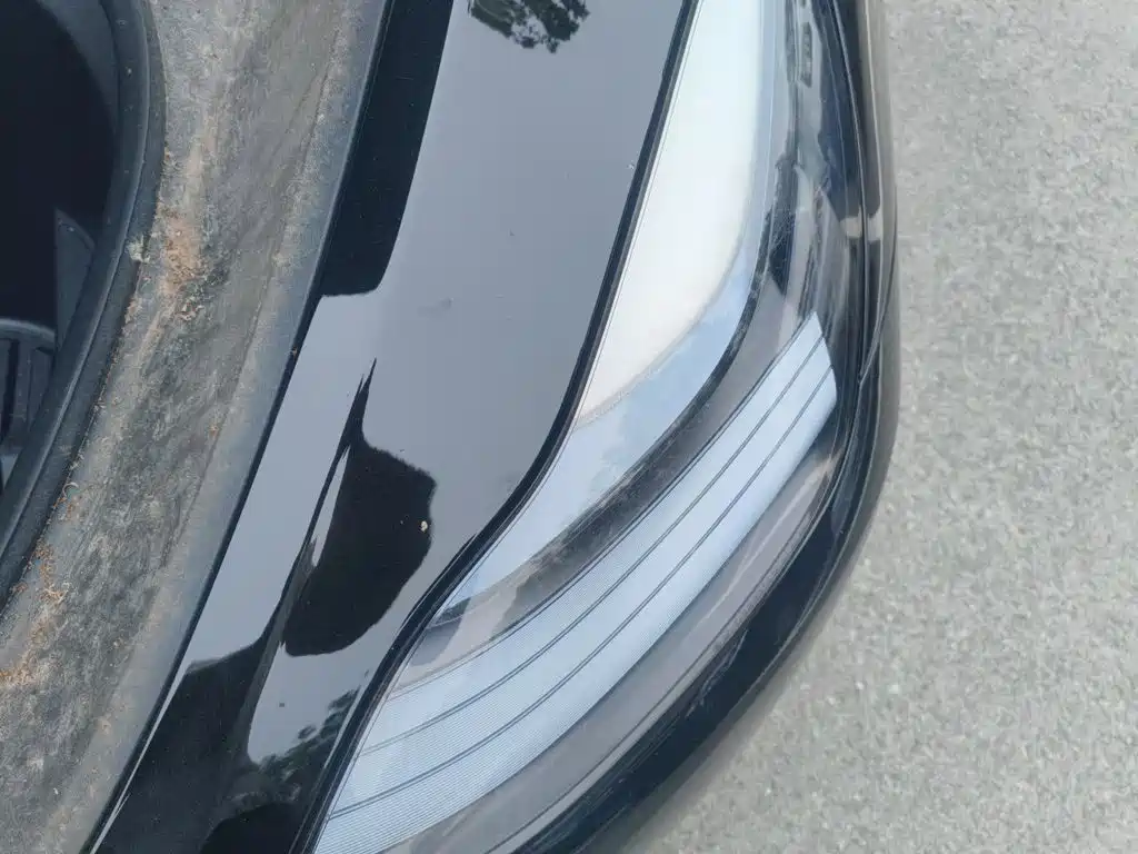 Tesla Model Y — фото 21