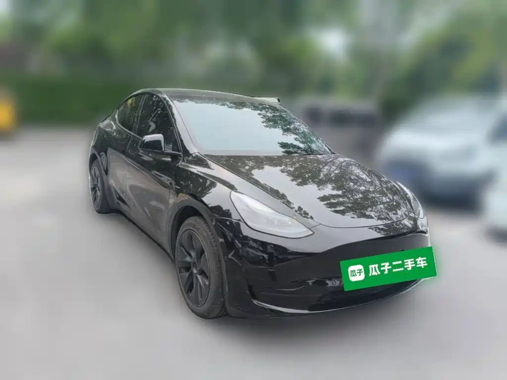 Tesla Model Y — фото 24