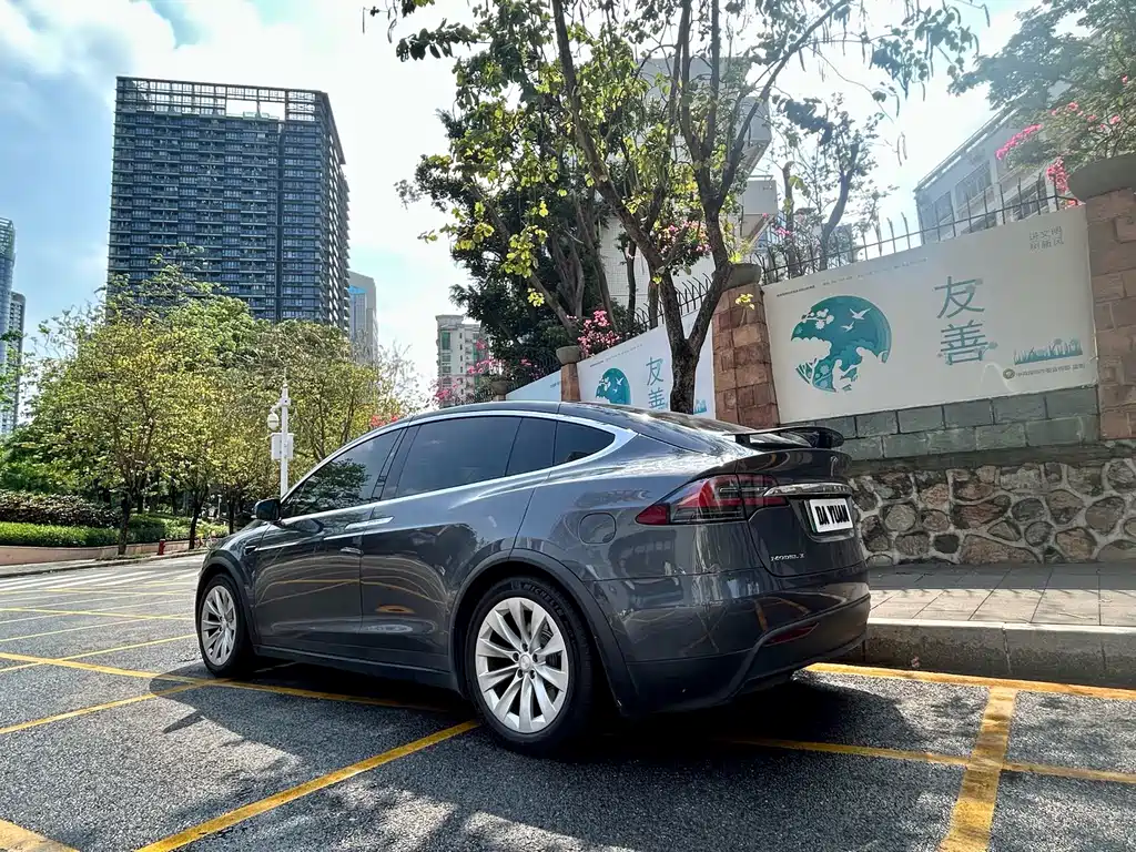 Tesla Model X — фото 4