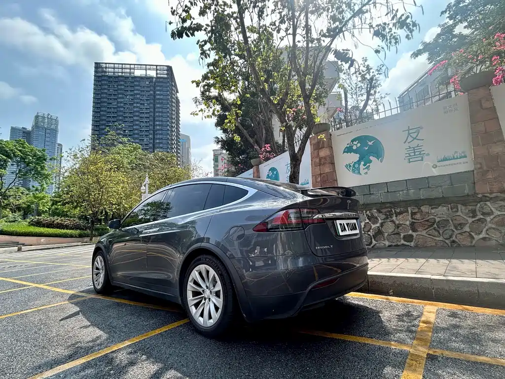 Tesla Model X — фото 5