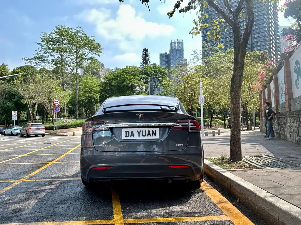 Tesla Model X — фото 6