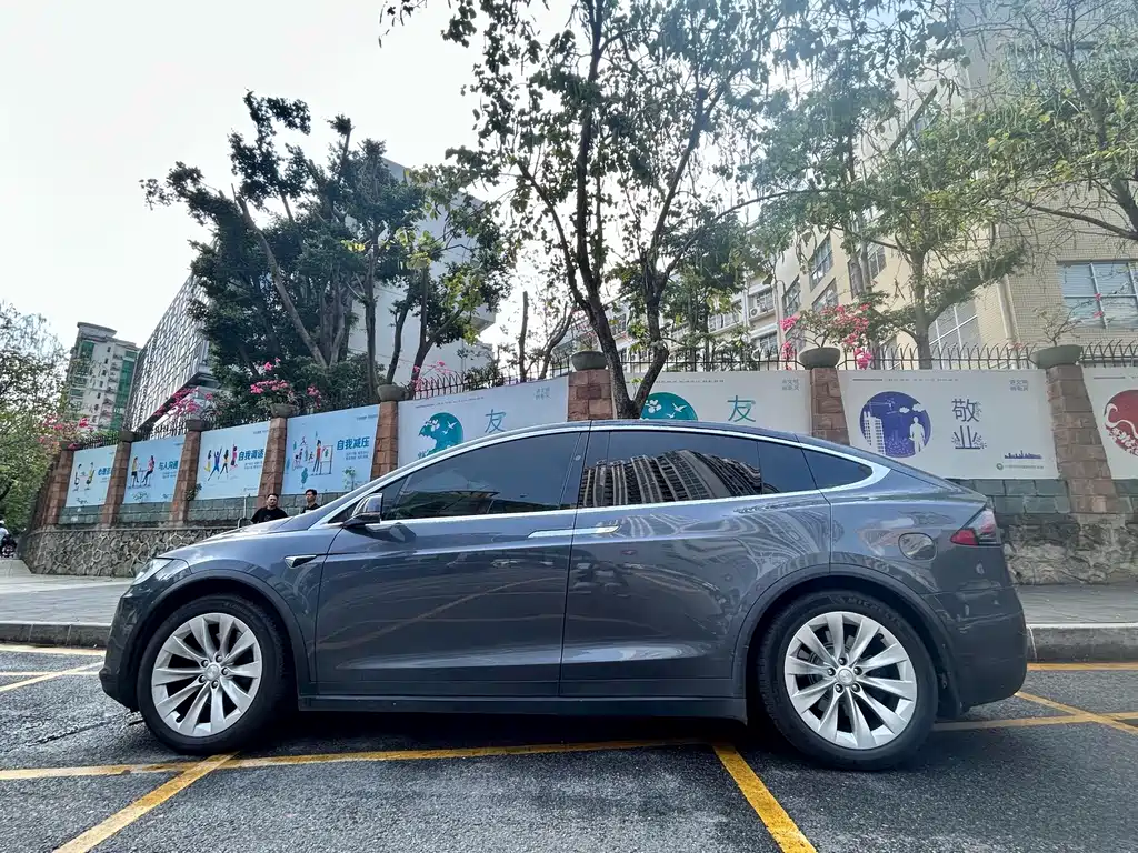 Tesla Model X — фото 8