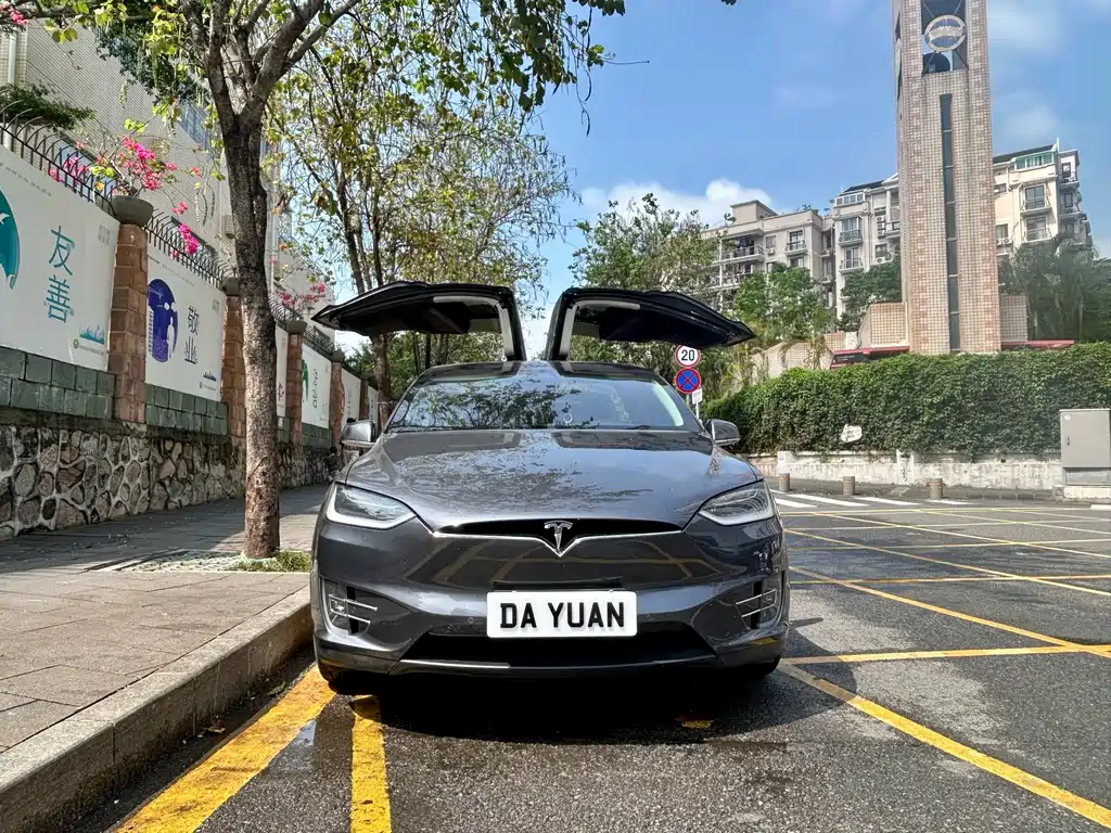 Tesla Model X — фото 9