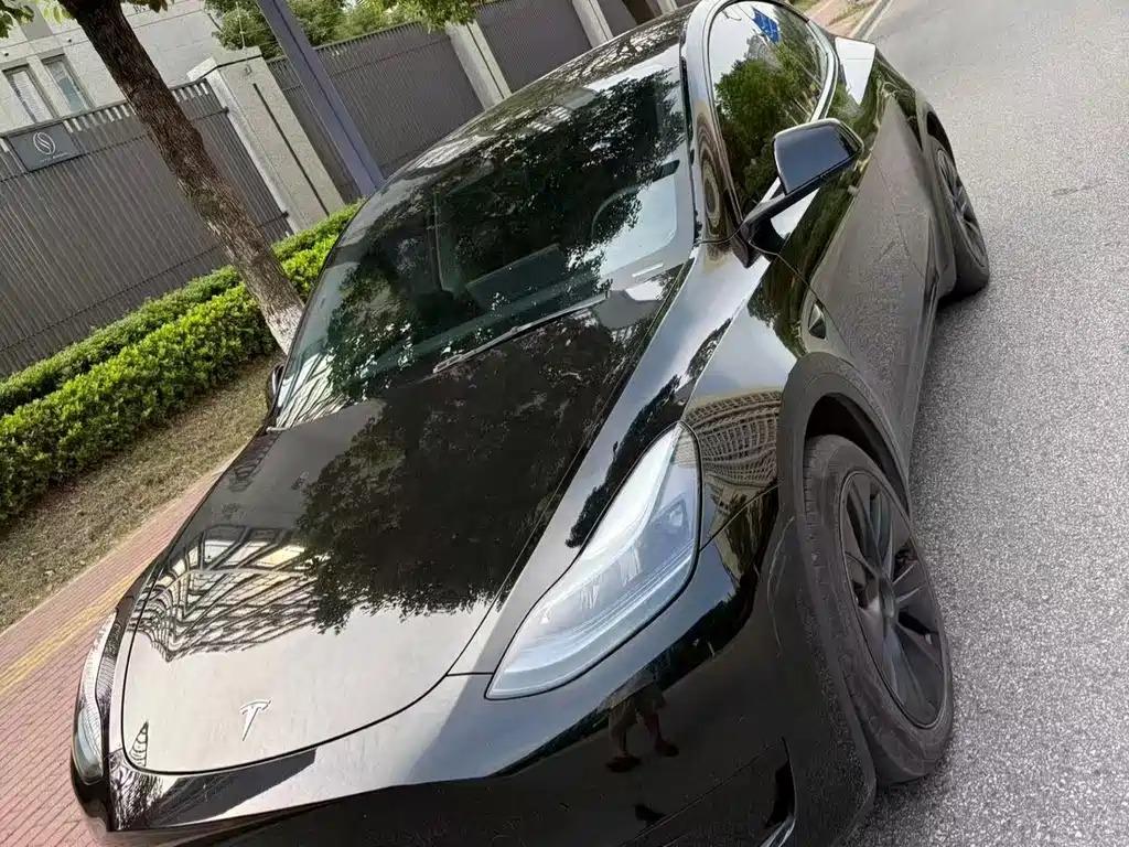 Tesla Model Y — фото 8