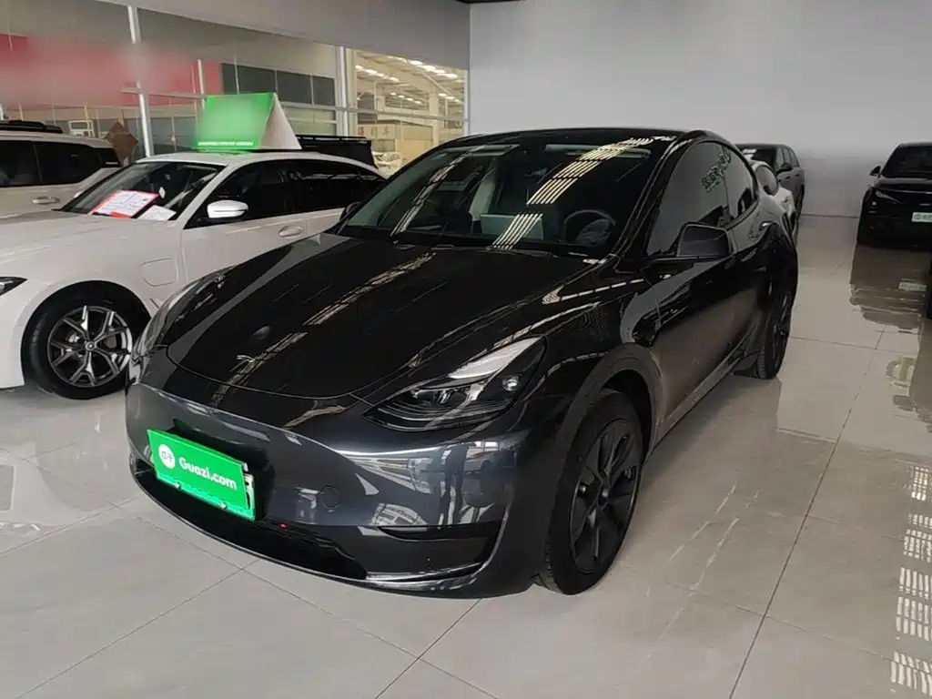 Tesla Model Y — фото 2