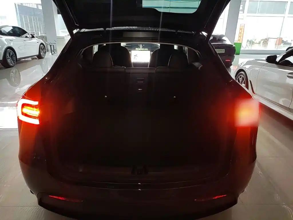 Tesla Model Y — фото 19