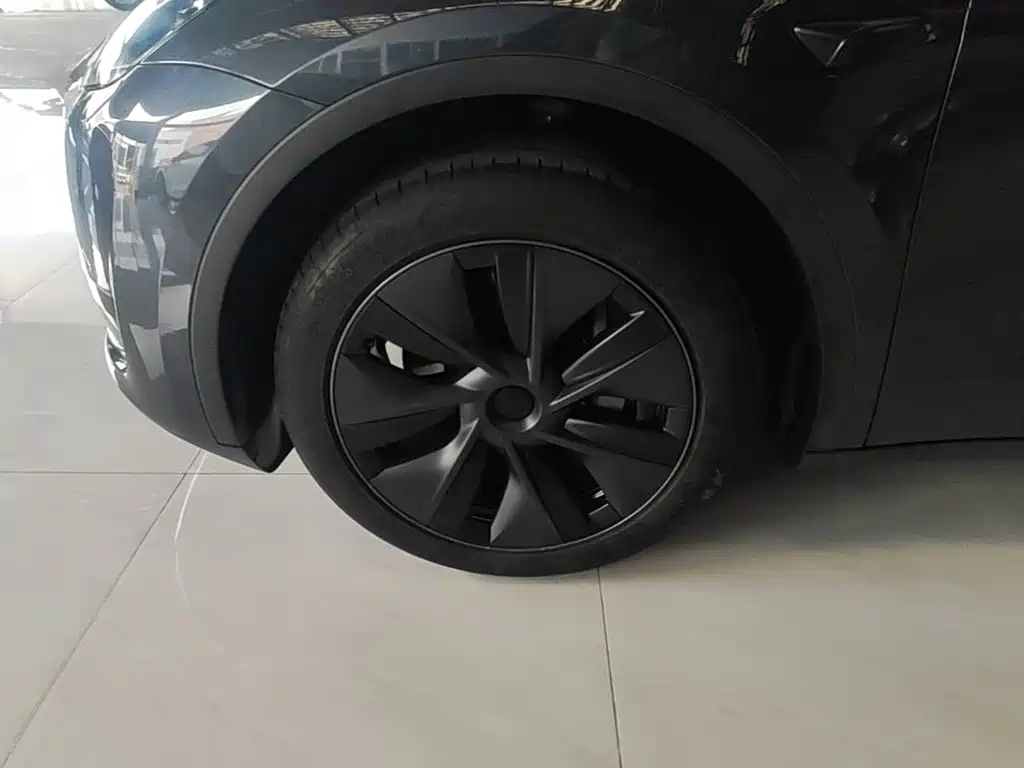 Tesla Model Y — фото 23